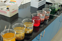 Waste Water Treatment